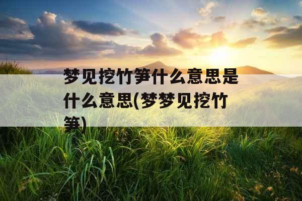 梦见挖竹笋什么意思是什么意思(梦梦见挖竹笋)