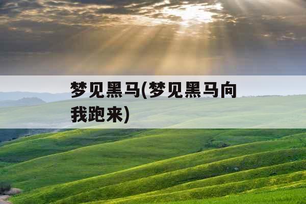 梦见黑马(梦见黑马向我跑来)