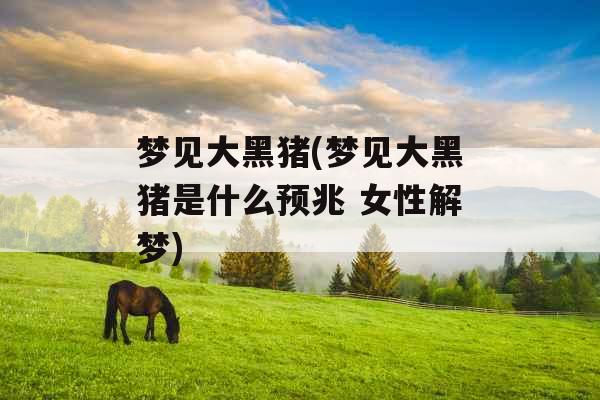 梦见大黑猪(梦见大黑猪是什么预兆 女性解梦)