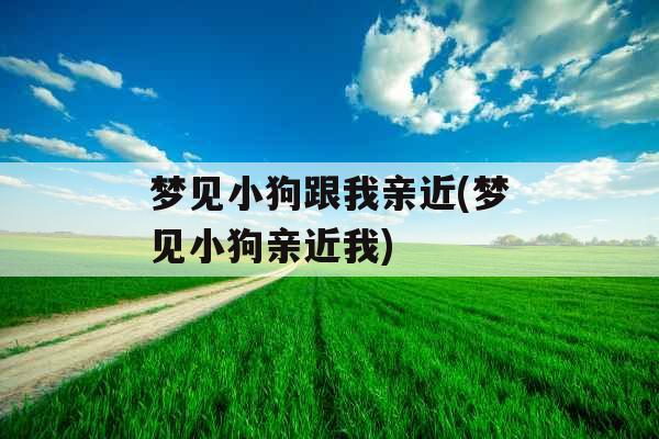 梦见小狗跟我亲近(梦见小狗亲近我)