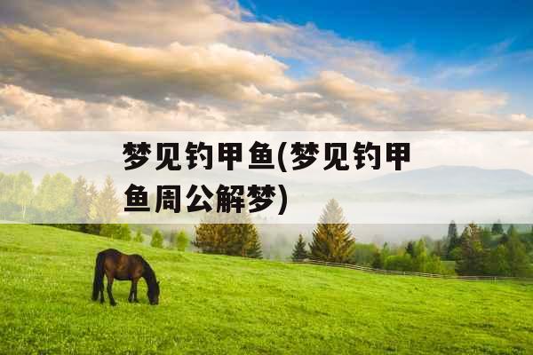 梦见钓甲鱼(梦见钓甲鱼周公解梦)
