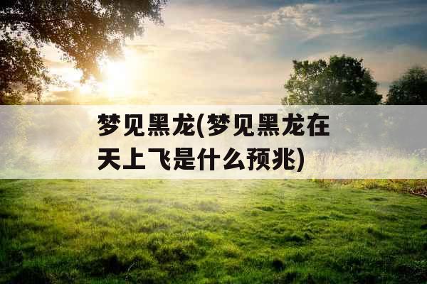 梦见黑龙(梦见黑龙在天上飞是什么预兆)