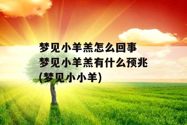 梦见小羊羔怎么回事 梦见小羊羔有什么预兆(梦见小小羊)