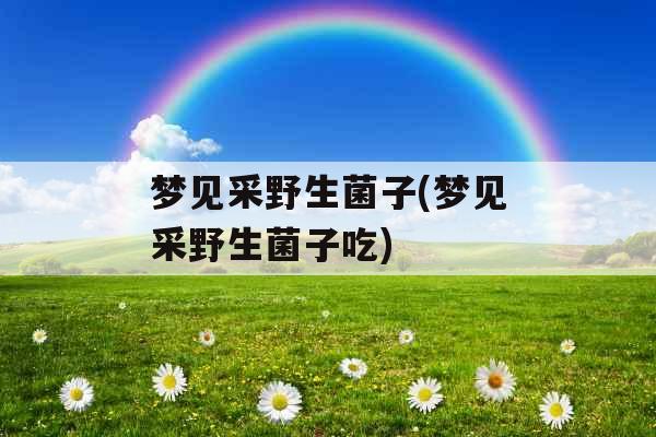 梦见采野生菌子(梦见采野生菌子吃) 梦见采野生菌子(梦见采野生菌子吃)