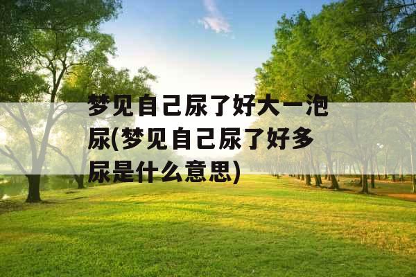 梦见自己尿了好大一泡尿(梦见自己尿了好多尿是什么意思)