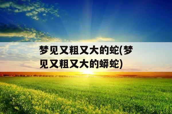 梦见又粗又大的蛇(梦见又粗又大的蟒蛇)
