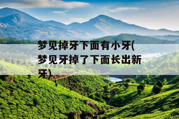 梦见掉牙下面有小牙(梦见牙掉了下面长出新牙)