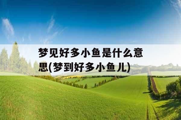 梦见好多小鱼是什么意思(梦到好多小鱼儿)