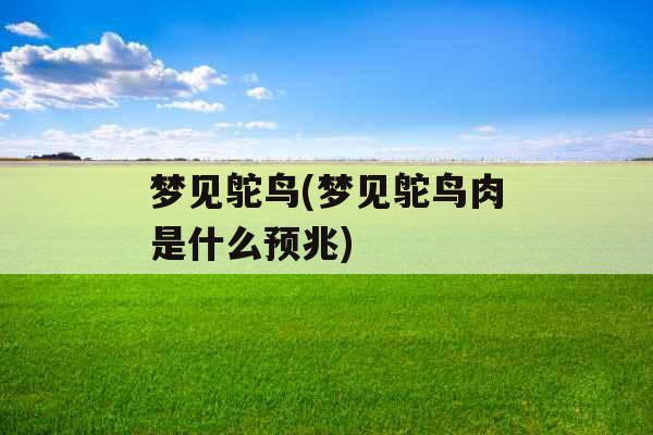 梦见鸵鸟(梦见鸵鸟肉是什么预兆)