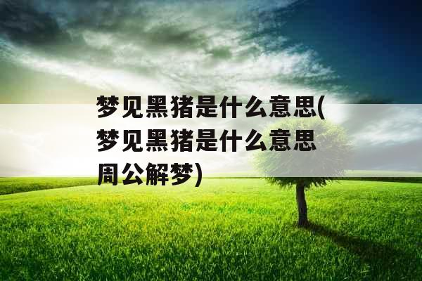 梦见黑猪是什么意思(梦见黑猪是什么意思 周公解梦) 梦见黑猪是什么意思(梦见黑猪是什么意思 周公解梦)