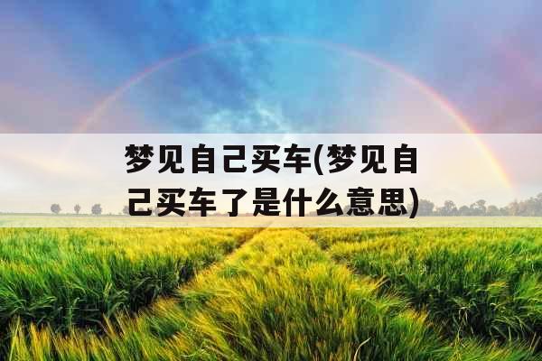 梦见自己买车(梦见自己买车了是什么意思) 梦见自己买车(梦见自己买车了是什么意思)