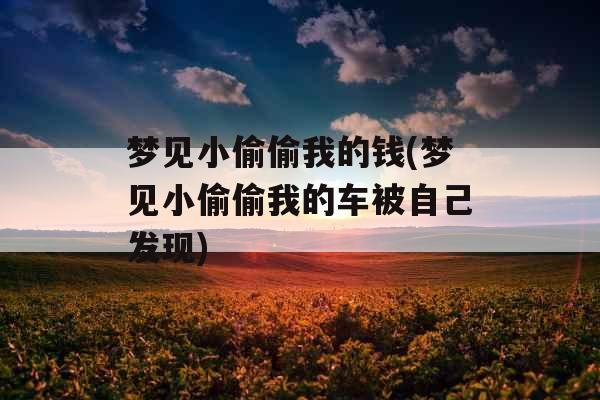 梦见小偷偷我的钱(梦见小偷偷我的车被自己发现)