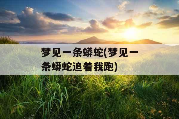 梦见一条蟒蛇(梦见一条蟒蛇追着我跑) 梦见一条蟒蛇(梦见一条蟒蛇追着我跑)