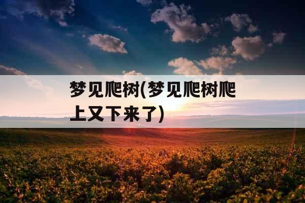 梦见爬树(梦见爬树爬上又下来了)