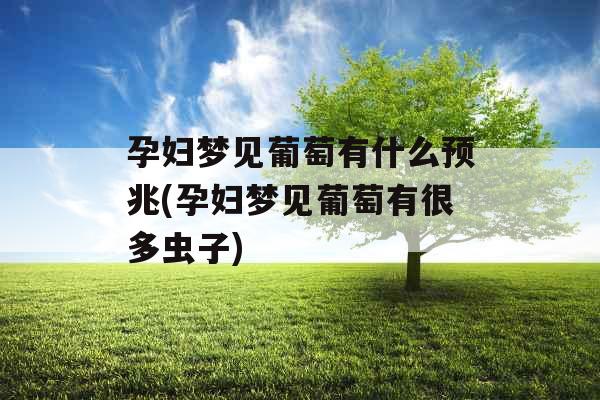 孕妇梦见葡萄有什么预兆(孕妇梦见葡萄有很多虫子)