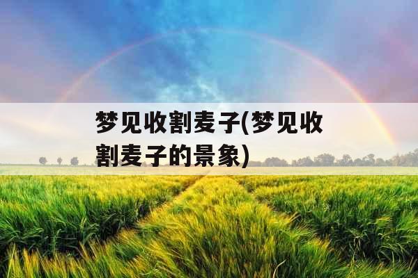梦见收割麦子(梦见收割麦子的景象)
