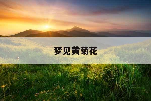 梦见黄菊花 梦见黄菊花