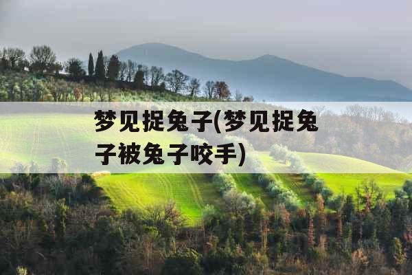 梦见捉兔子(梦见捉兔子被兔子咬手)