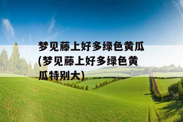 梦见藤上好多绿色黄瓜(梦见藤上好多绿色黄瓜特别大) 梦见藤上好多绿色黄瓜(梦见藤上好多绿色黄瓜特别大)