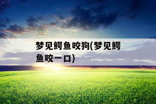 梦见鳄鱼咬狗(梦见鳄鱼咬一口)