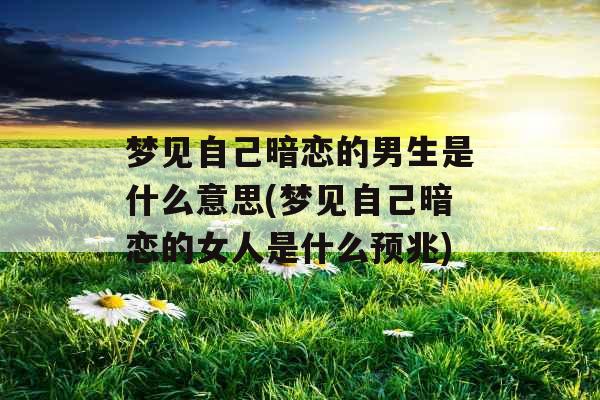 梦见自己暗恋的男生是什么意思(梦见自己暗恋的女人是什么预兆)