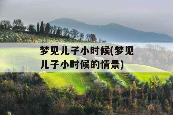 梦见儿子小时候(梦见儿子小时候的情景) 梦见儿子小时候(梦见儿子小时候的情景)
