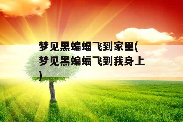 梦见黑蝙蝠飞到家里(梦见黑蝙蝠飞到我身上)