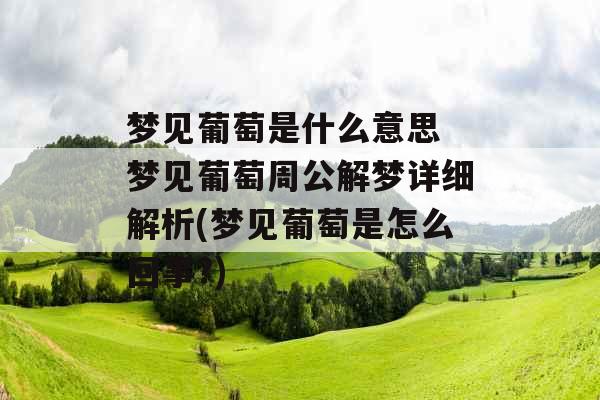 梦见葡萄是什么意思 梦见葡萄周公解梦详细解析(梦见葡萄是怎么回事?) 梦见葡萄是什么意思 梦见葡萄周公解梦详细解析(梦见葡萄是怎么回事?)
