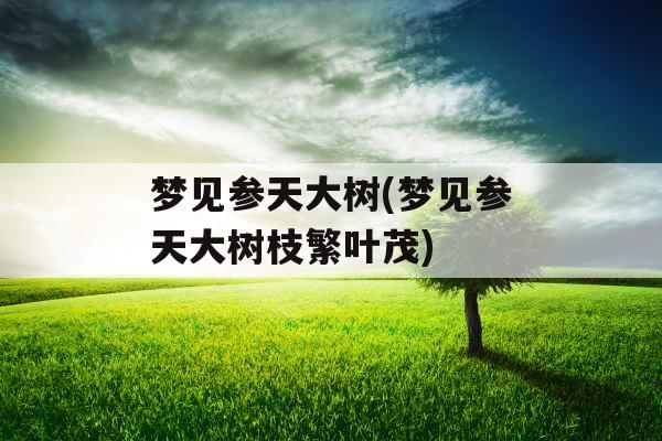 梦见参天大树(梦见参天大树枝繁叶茂)