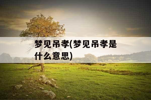 梦见吊孝(梦见吊孝是什么意思)