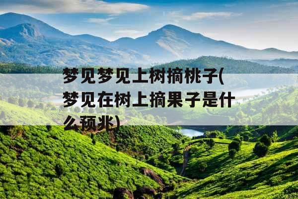 梦见梦见上树摘桃子(梦见在树上摘果子是什么预兆)