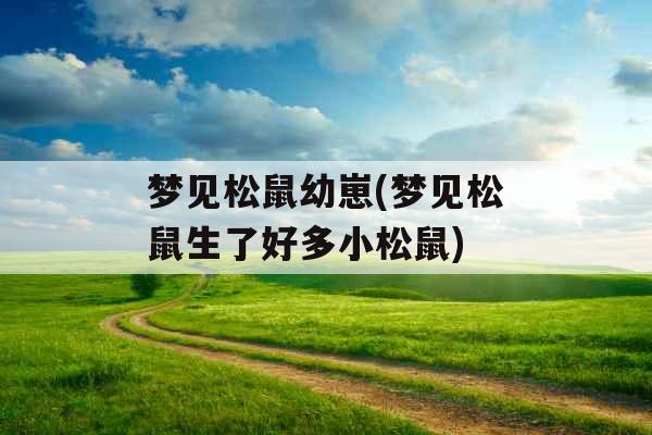 梦见松鼠幼崽(梦见松鼠生了好多小松鼠)