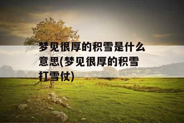 梦见很厚的积雪是什么意思(梦见很厚的积雪打雪仗) 梦见很厚的积雪是什么意思(梦见很厚的积雪打雪仗)