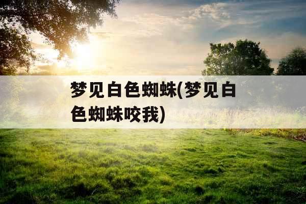 梦见白色蜘蛛(梦见白色蜘蛛咬我)