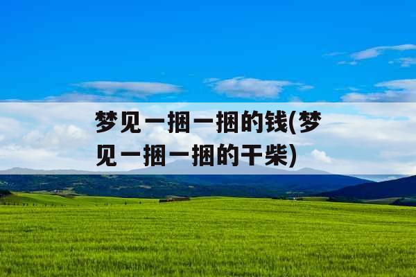 梦见一捆一捆的钱(梦见一捆一捆的干柴)