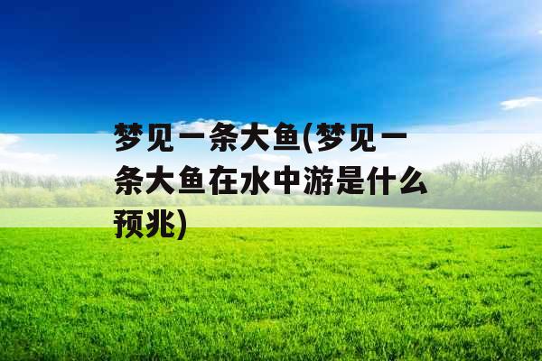 梦见一条大鱼(梦见一条大鱼在水中游是什么预兆)