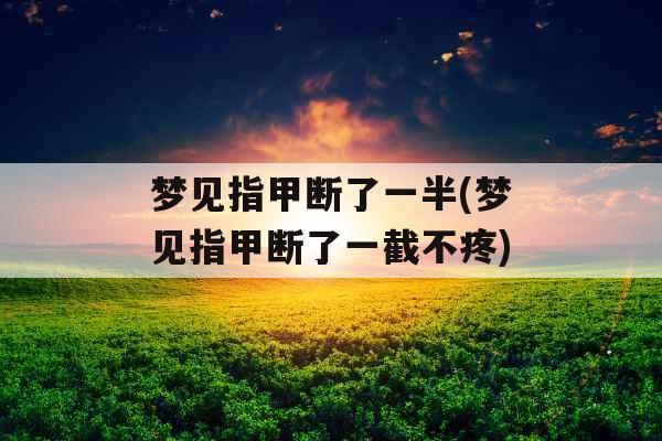 梦见指甲断了一半(梦见指甲断了一截不疼)