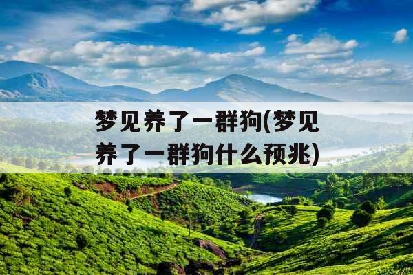 梦见养了一群狗(梦见养了一群狗什么预兆)