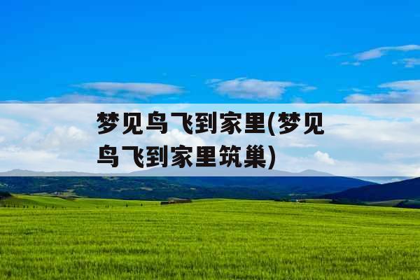 梦见鸟飞到家里(梦见鸟飞到家里筑巢)