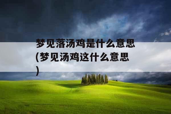 梦见落汤鸡是什么意思(梦见汤鸡这什么意思)
