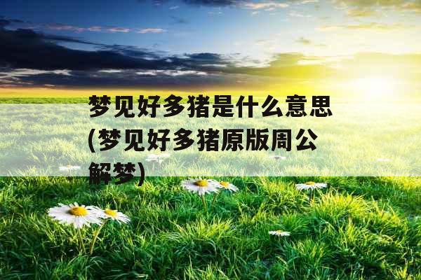 梦见好多猪是什么意思(梦见好多猪原版周公解梦)