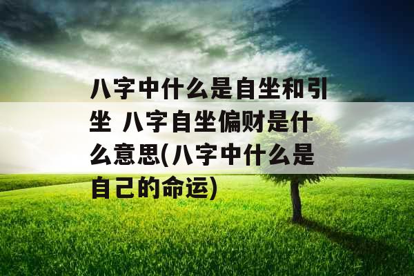 八字中什么是自坐和引坐 八字自坐偏财是什么意思(八字中什么是自己的命运)