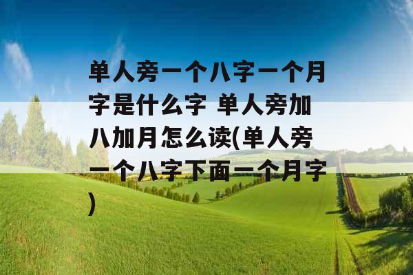 单人旁一个八字一个月字是什么字 单人旁加八加月怎么读(单人旁一个八字下面一个月字)