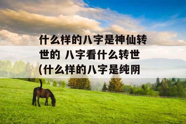 什么样的八字是神仙转世的 八字看什么转世(什么样的八字是纯阴)
