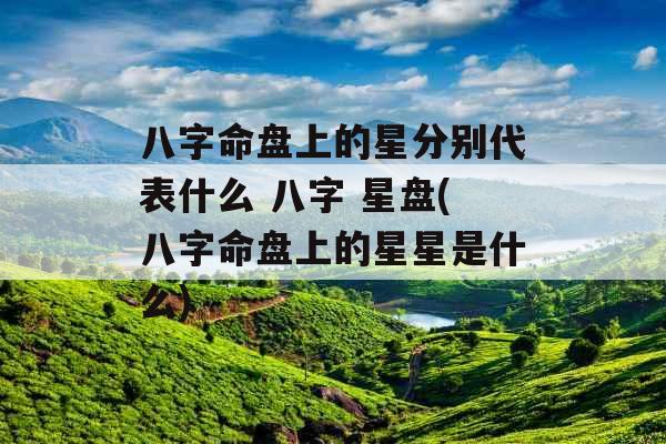 八字命盘上的星分别代表什么 八字 星盘(八字命盘上的星星是什么)