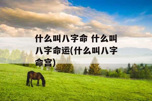 什么叫八字命 什么叫八字命运(什么叫八字命宫)