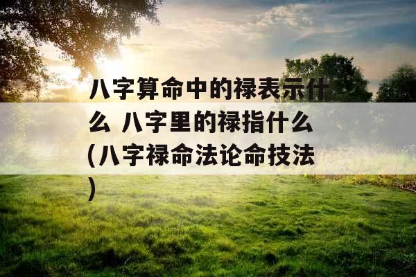 八字算命中的禄表示什么 八字里的禄指什么(八字禄命法论命技法) 八字算命中的禄表示什么 八字里的禄指什么(八字禄命法论命技法)