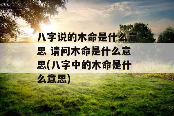 八字说的木命是什么意思 请问木命是什么意思(八字中的木命是什么意思)