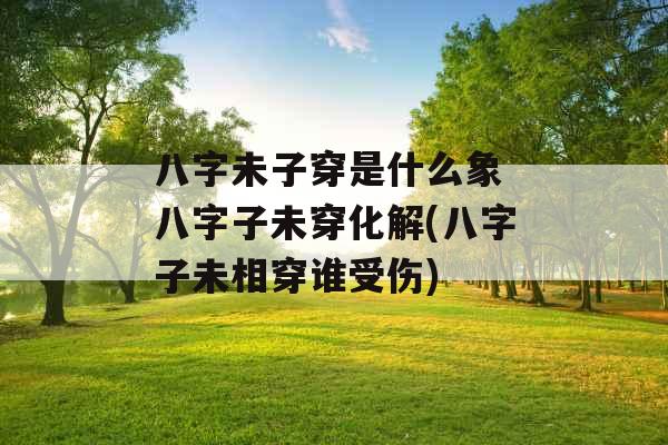 八字未子穿是什么象 八字子未穿化解(八字子未相穿谁受伤)
