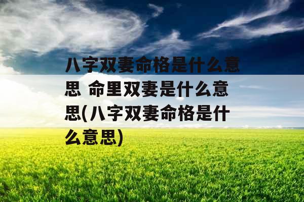 八字双妻命格是什么意思 命里双妻是什么意思(八字双妻命格是什么意思)